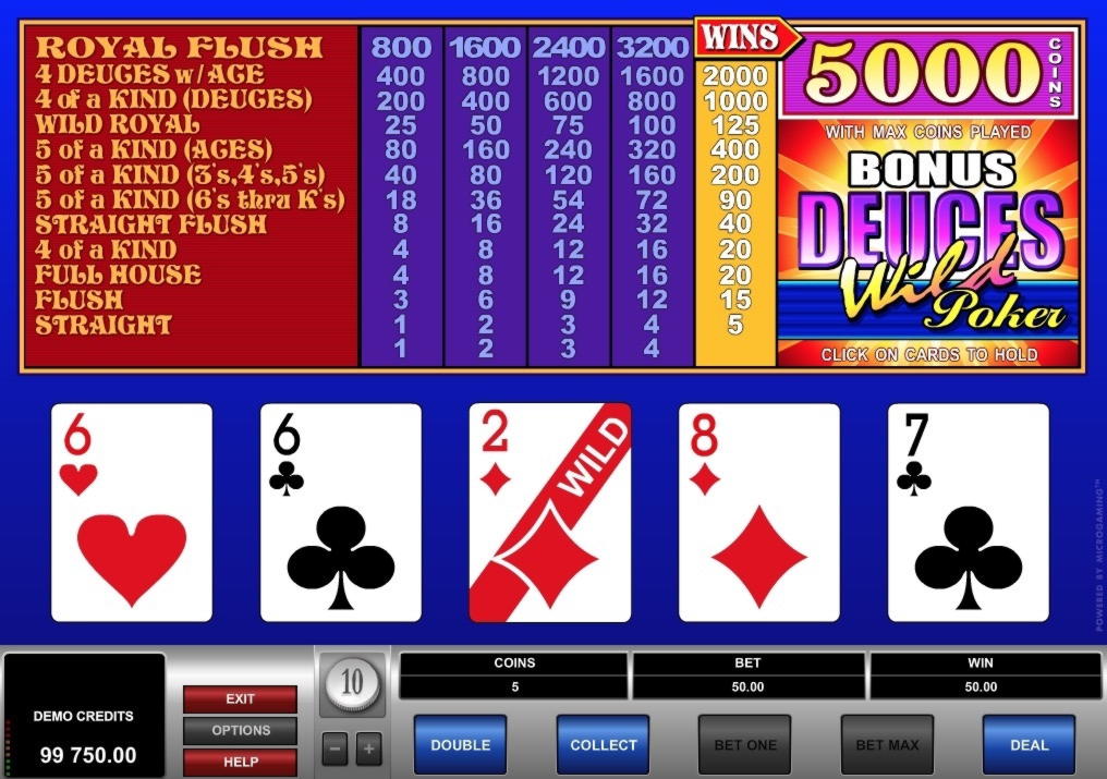 155 free spins casino at Rizk Casino