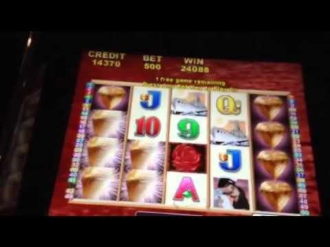 11 Loyalty Free Spins! at Casino Cruise