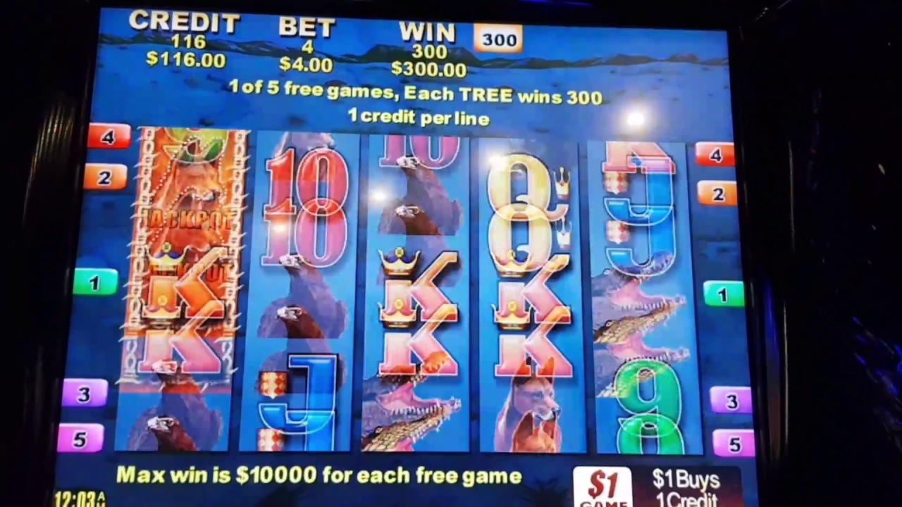 €4020 No Deposit Bonus Code at Buzzluck Casino