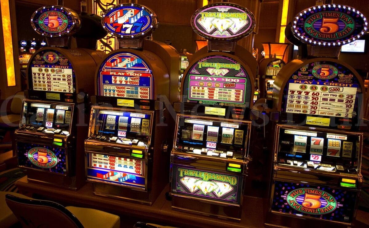 50 Free Spins Casino at Casino Cruise