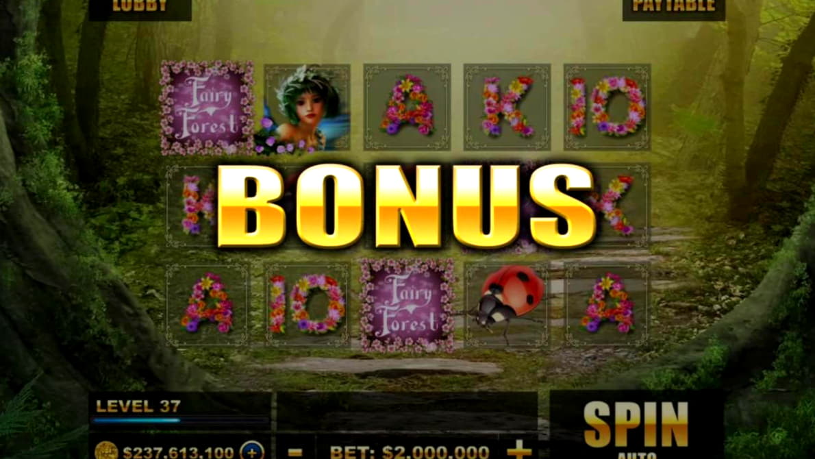 Eur 265 No deposit casino bonus at 7 Reels Casino