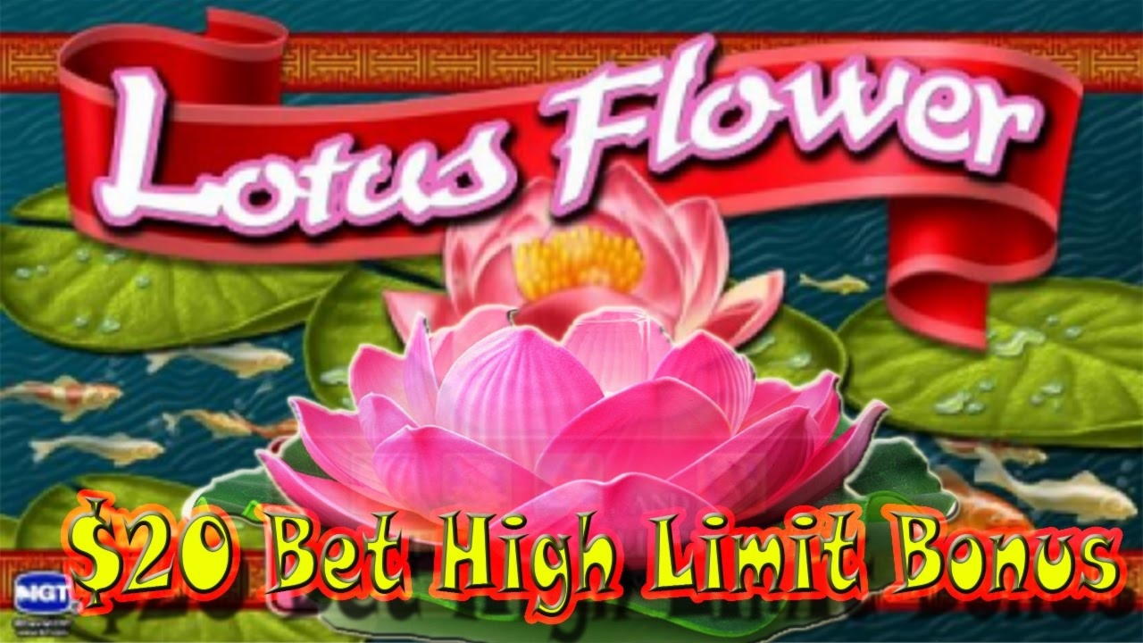 885% Signup Casino Bonus at Spin Palace Casino