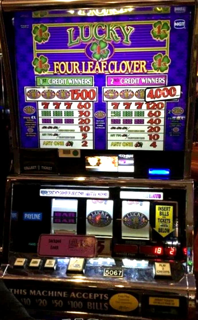 €400 Daily freeroll slot tournament at Hippozino Casino