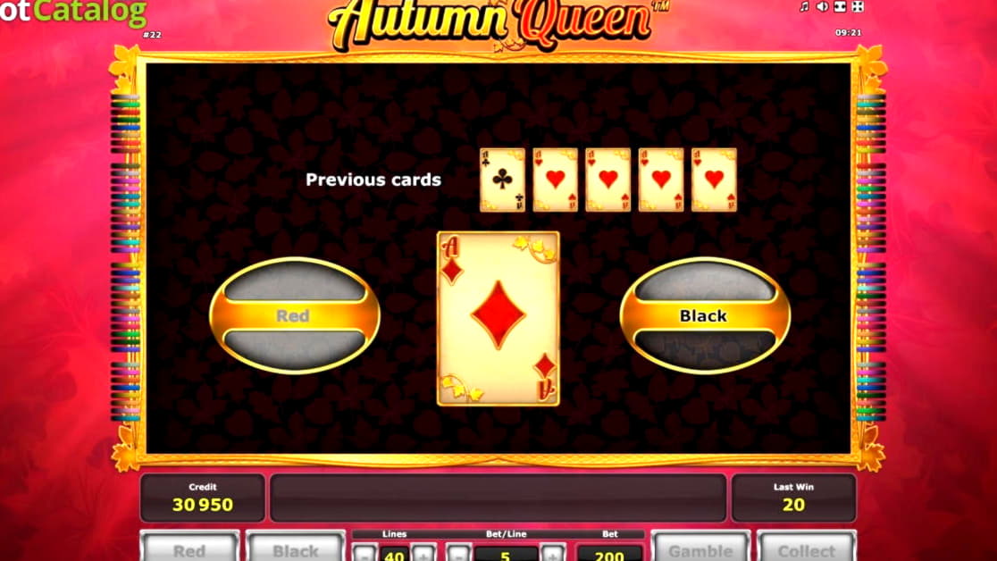 225 Free Casino Spins at Leo Dubai Casino