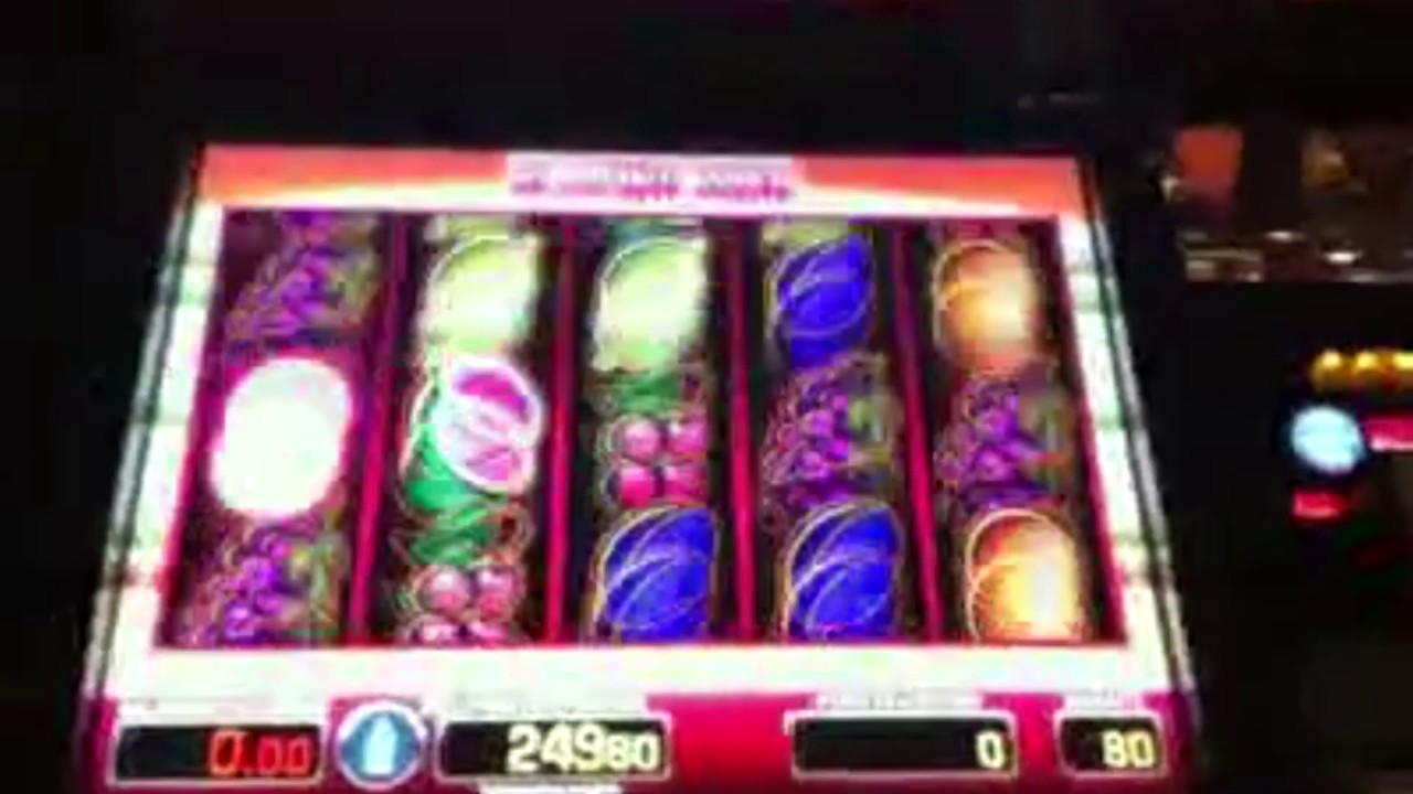 EUR 605 Daily freeroll slot tournament at Guts Casino