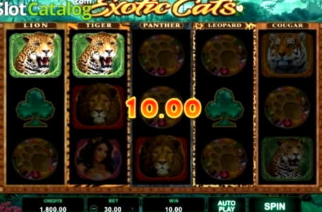 EUR 615 Free Casino Chip at Bet At Home Casino