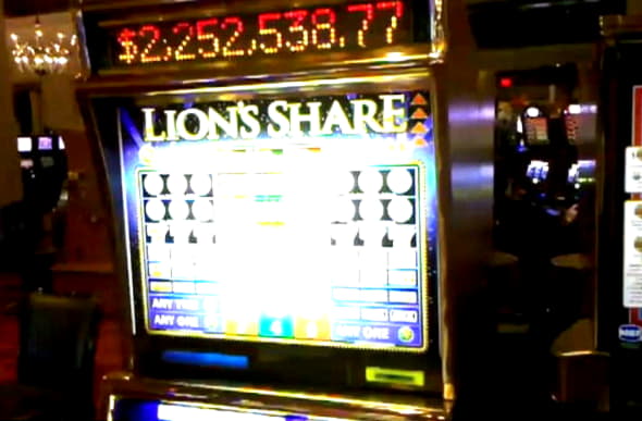 305% Match Bonus at 7 Reels Casino