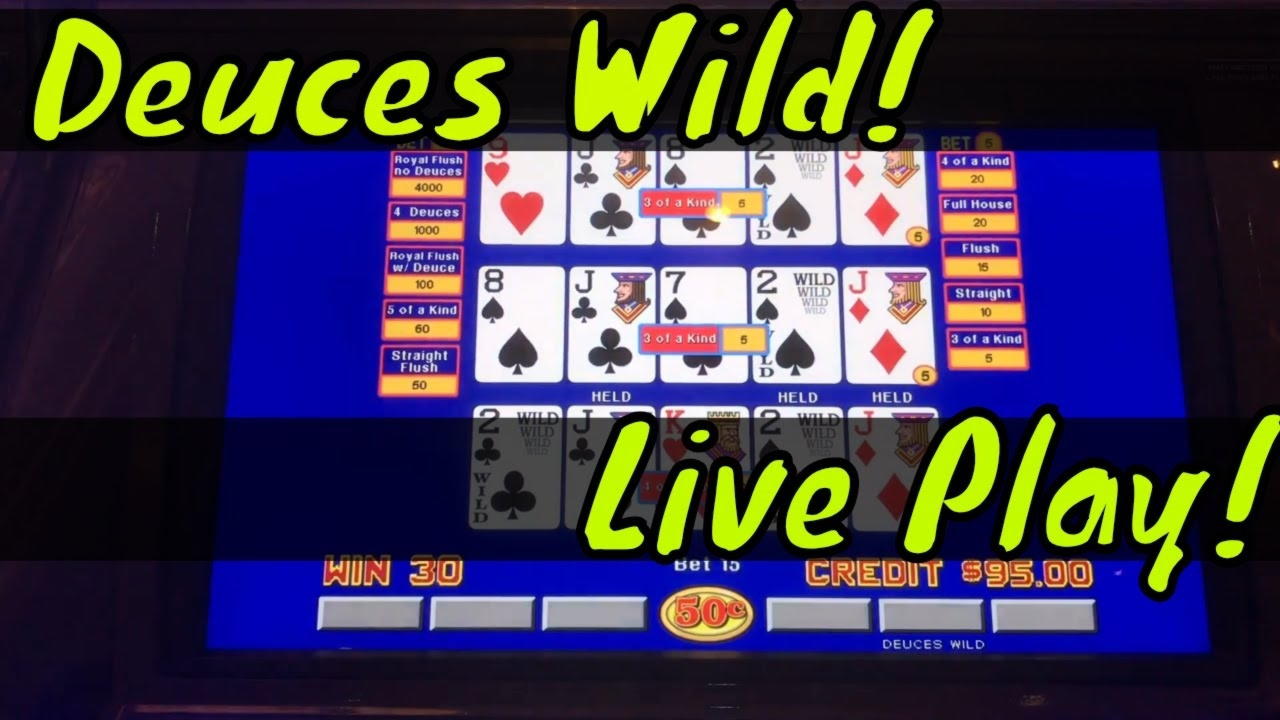 $230 Casino Chip at Hippozino Casino