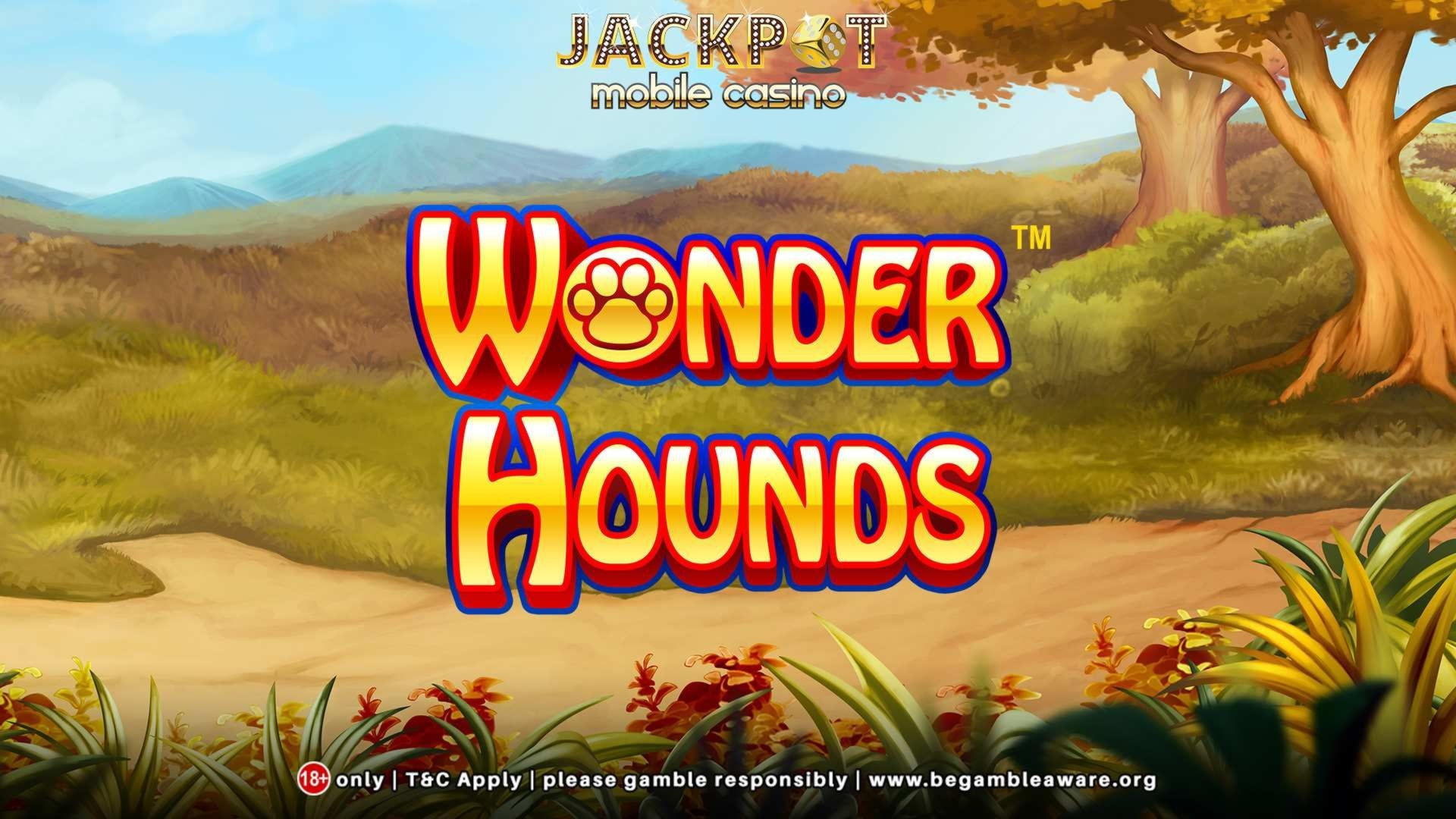 985% Best Signup Bonus Casino at Casino Luck