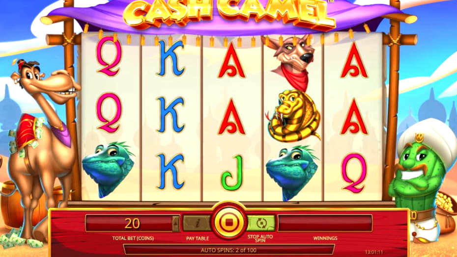 865% No Rules Bonus! at Betnspin Casino