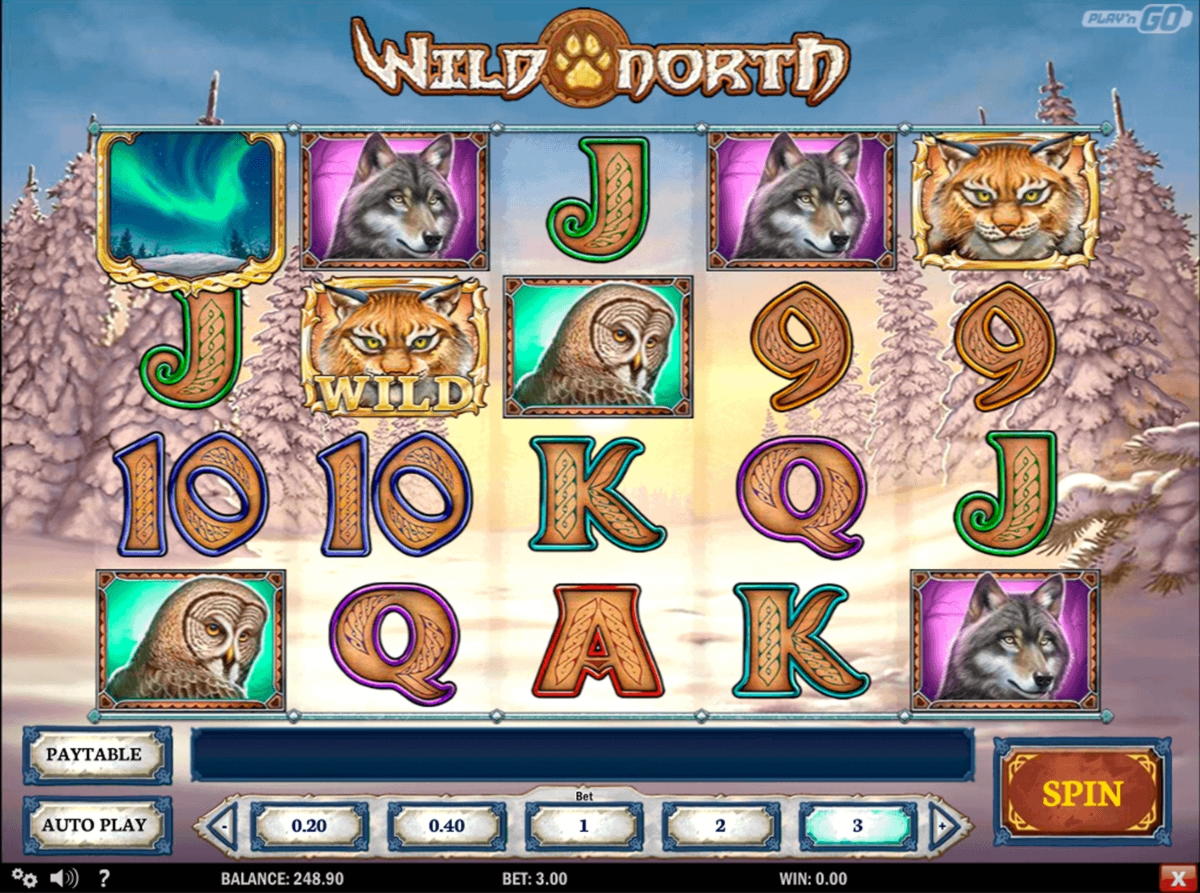 €610 Casino Tournament at Leo Dubai Casino