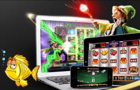 $50 Casino Tournament at Eurogrand Casino