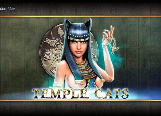 ﻿$4685 No deposit casino bonus at Leo Dubai Casino