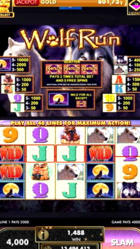 $50 Daily freeroll slot tournament at Europa Casino