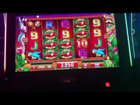 EUR 690 Free Cash at Guts Casino