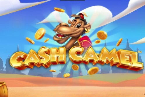 EUR 260 Casino Chip at Casino Luck