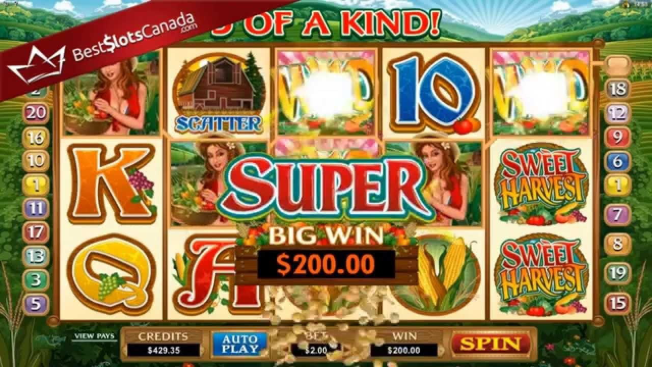 £66 Daily freeroll slot tournament at Dunder Casino