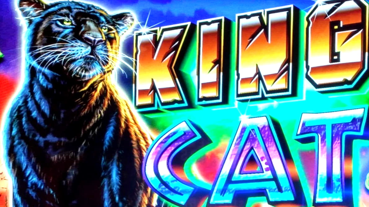 $655 Free Casino Tournament at Casino Cruise