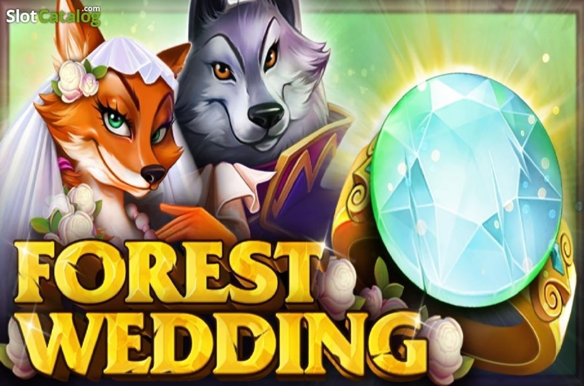 355% No Rules Bonus! at Alf Casino