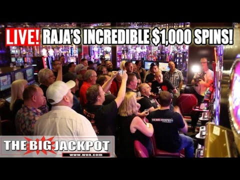 165 Free Spins right now at Hippozino Casino
