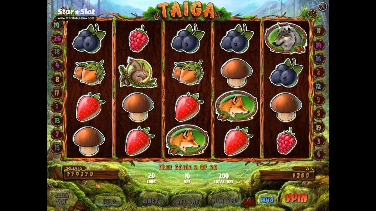 ﻿$2950 no deposit casino bonus at Guts Casino