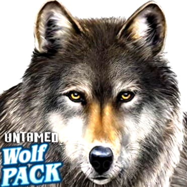 EUR 1910 No deposit at Bet At Home Casino