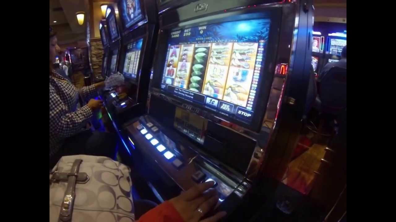 $1095 No Deposit Bonus at Party Casino