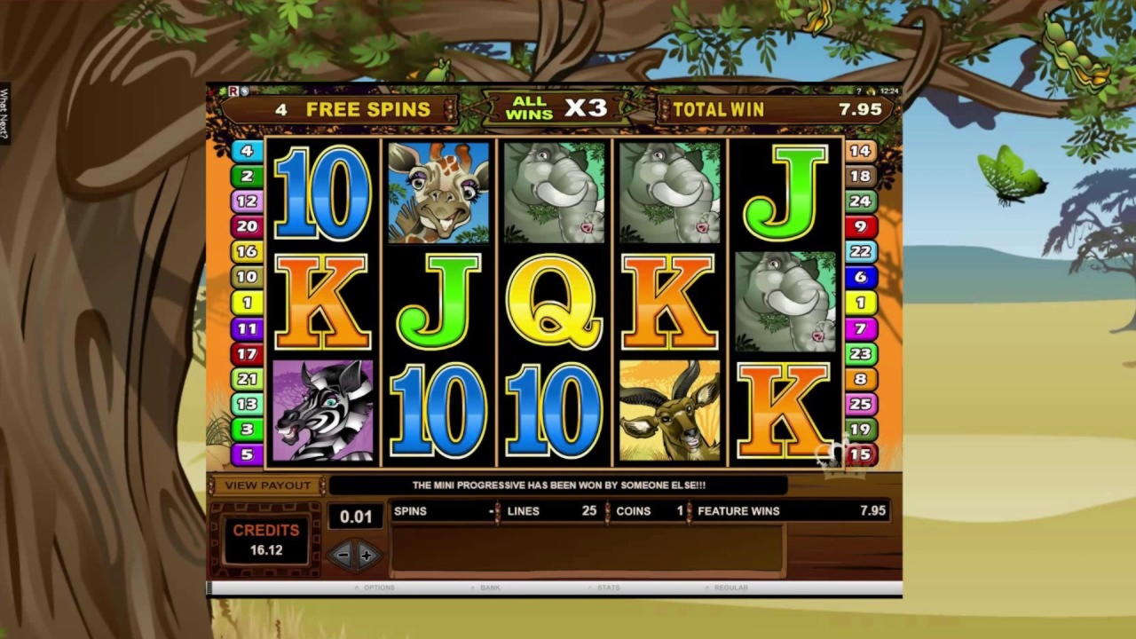 245% First Deposit Bonus at 7 Reels Casino