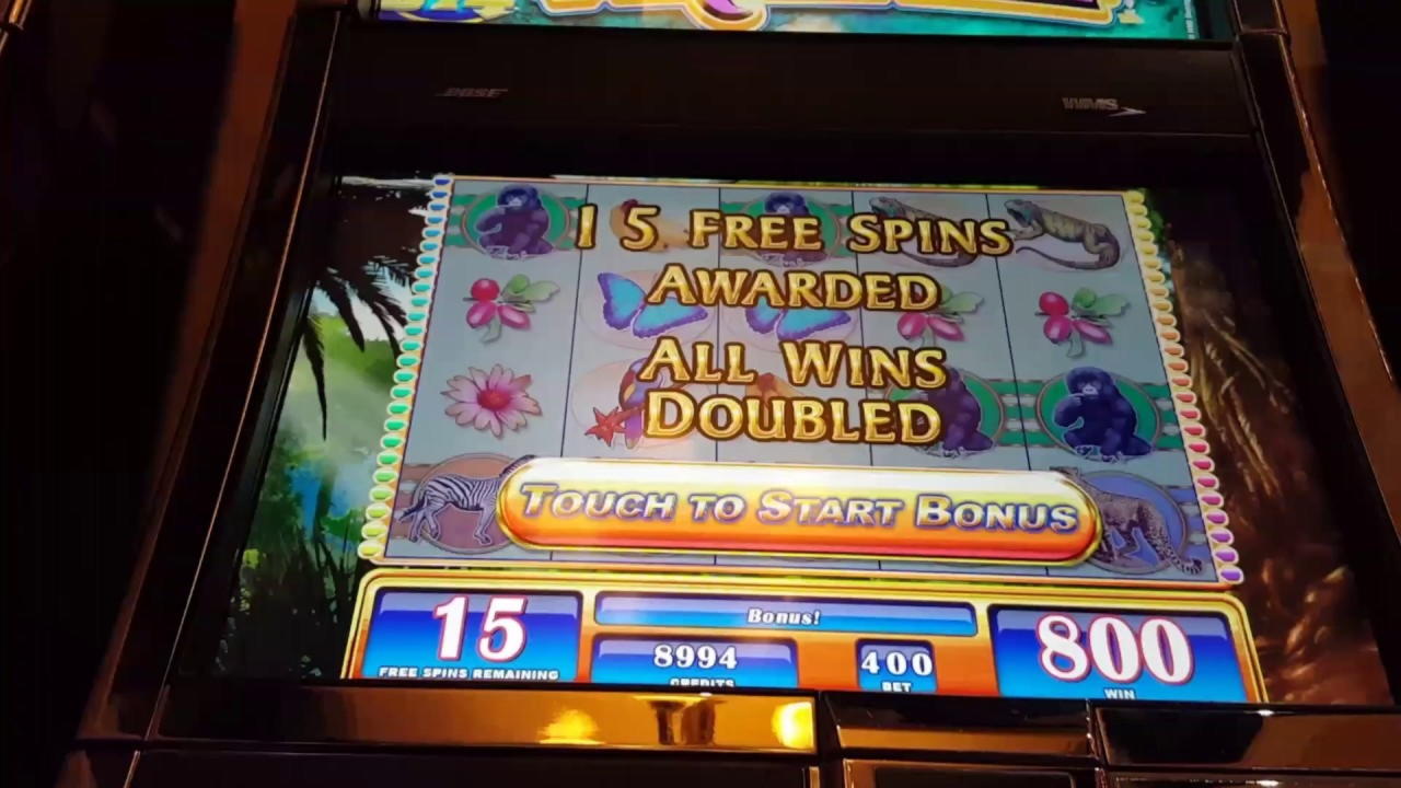 ﻿$888 Tournament at Casino Cruise