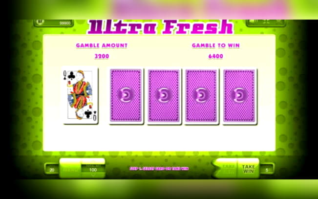 $225 Free Money at BGO Casino