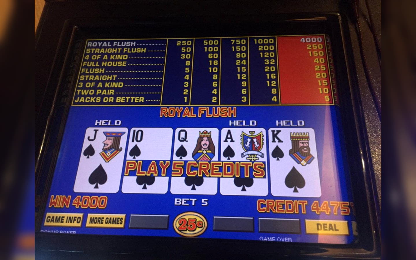 245 Free spins at Hippozino Casino