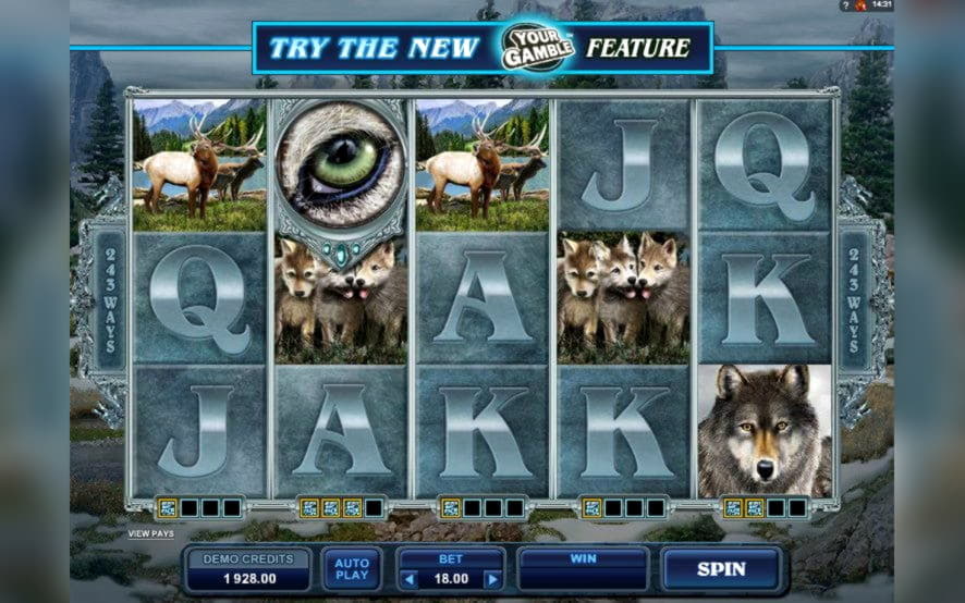 220 Free casino spins at Rizk Casino