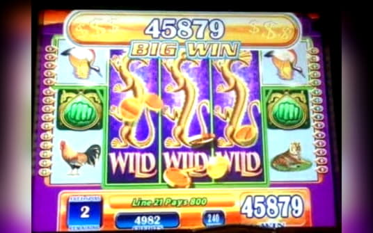 415% Match at a Casino at Leo Dubai Casino