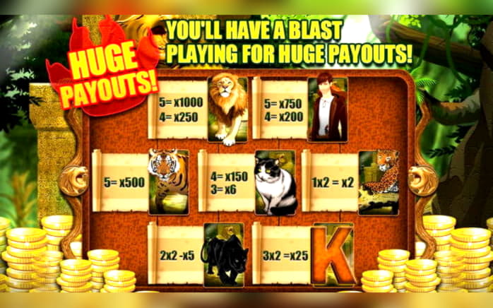 €590 Free Chip Casino at Hippozino Casino