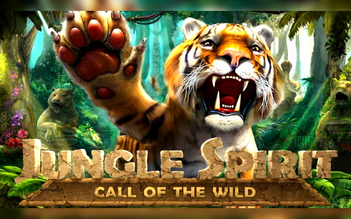 485% Best Signup Bonus Casino at Alf Casino