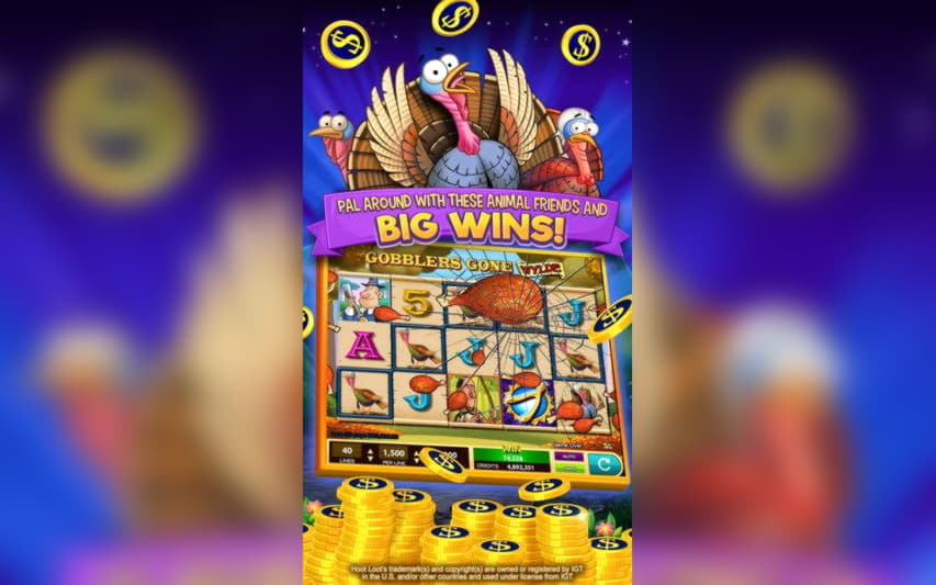 EURO 965 Mobile freeroll slot tournament at bWin Casino