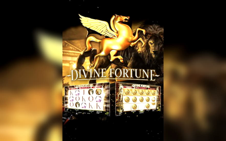 25 free spins casino at Hippozino Casino