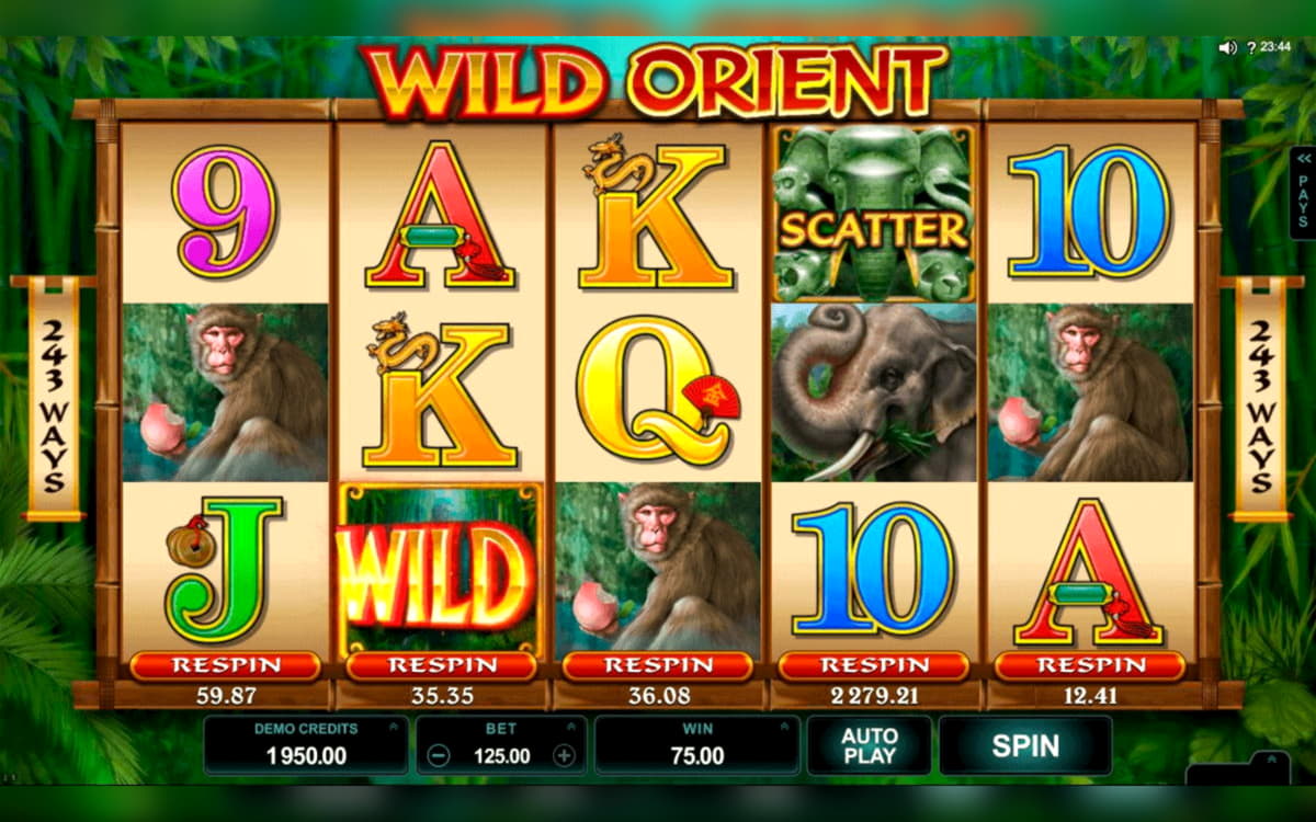 165 Free Casino Spins at Leo Dubai Casino