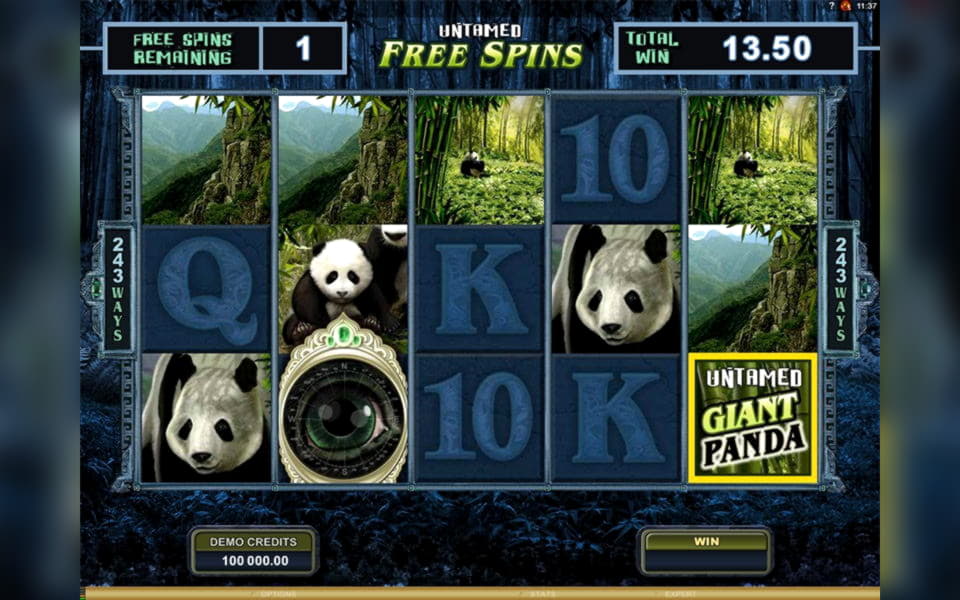 855% First deposit bonus at Betway Casino