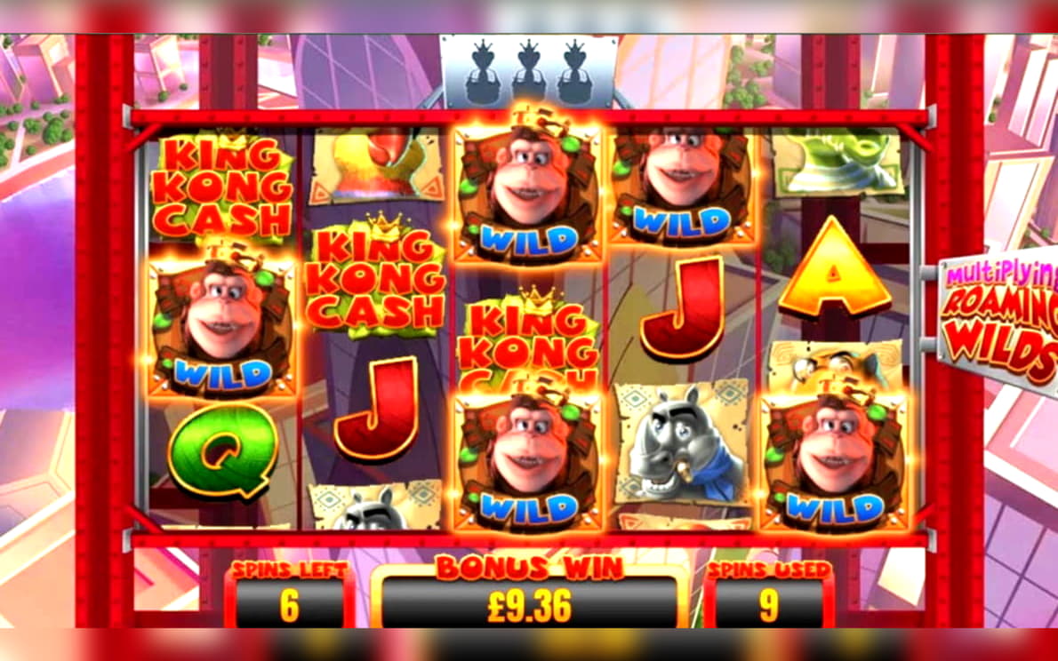 EUR 795 Free Casino Tournament at Hippozino Casino