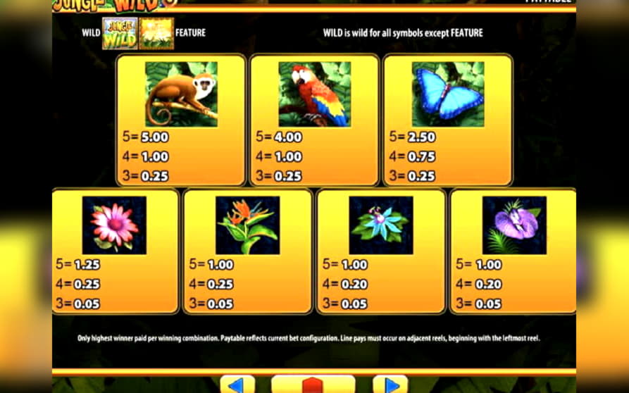 375% Match bonus casino at bWin Casino