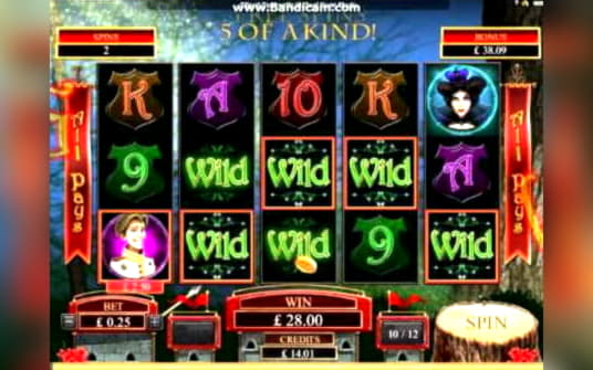 €555 Tournament at Leo Dubai Casino