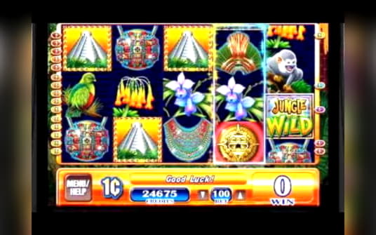 265% No Rules Bonus! at Leo Dubai Casino