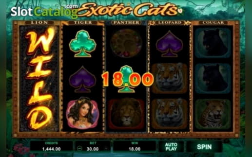 ﻿$505 Online Casino Tournament at Rizk Casino