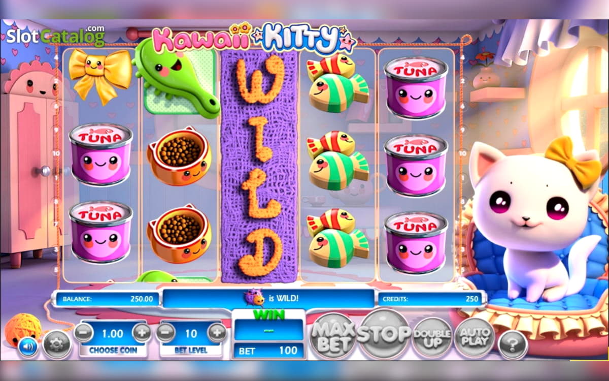 €22 Daily freeroll slot tournament at Vera and Jhon Casino