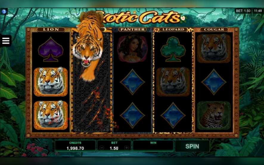 ﻿$4810 no deposit bonus at Buzzluck Casino