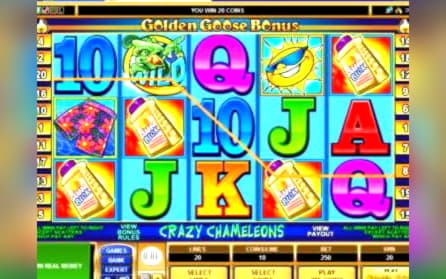 £430 Online Casino Tournament at Leo Dubai Casino