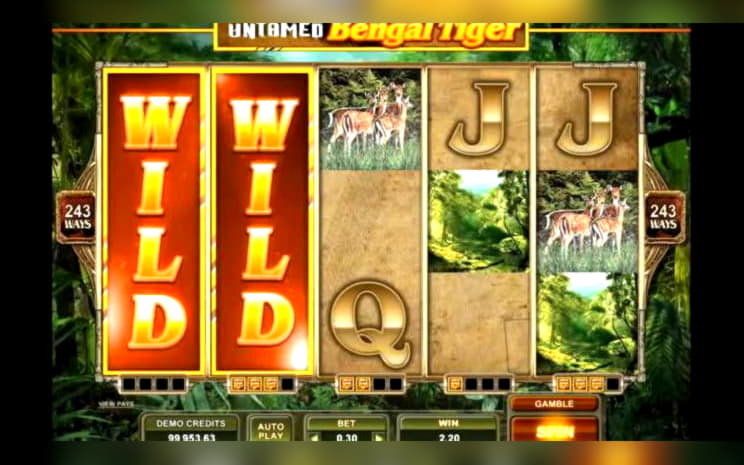 675% Match bonus at Casino Luck