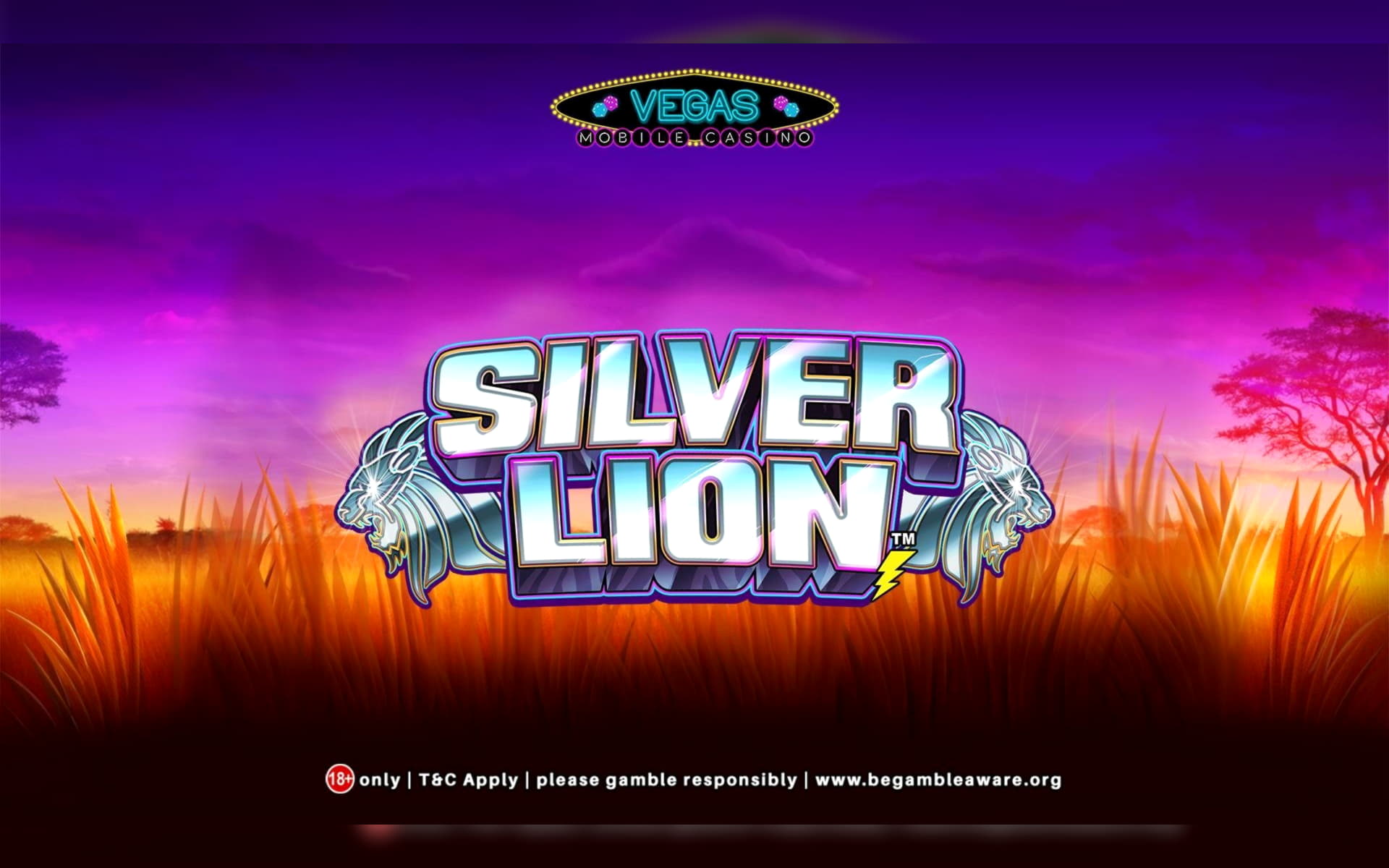 EUR 305 Casino chip at BGO Casino