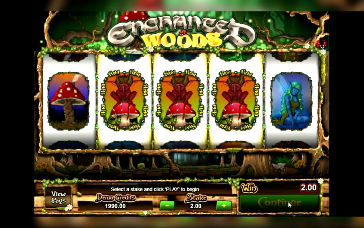 215 FREE SPINS at Hippozino Casino